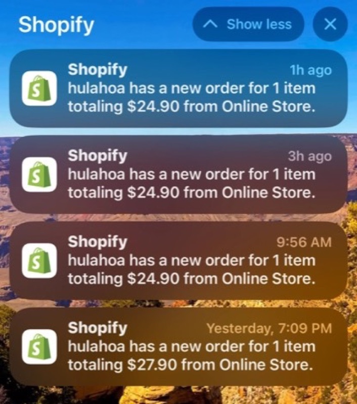Shopify order notifications from the drop-shipping store